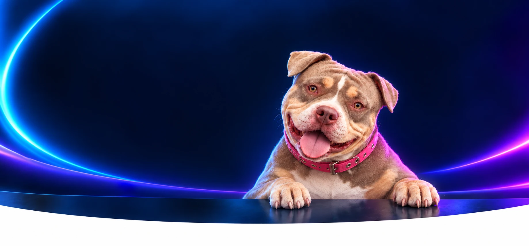 nv ct4 58